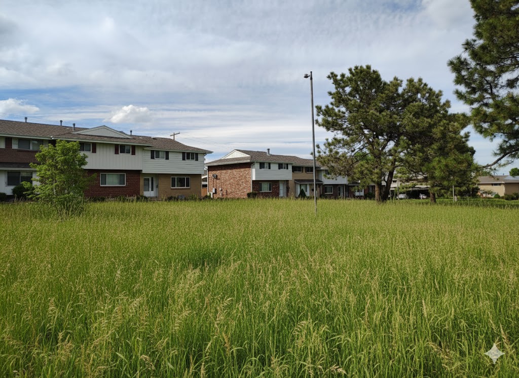 Standard Lawn Mowing Service - Before